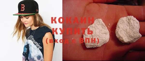 дживик Богородицк