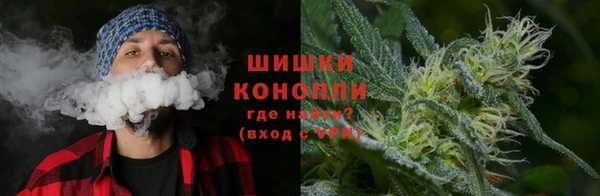 дживик Богородицк