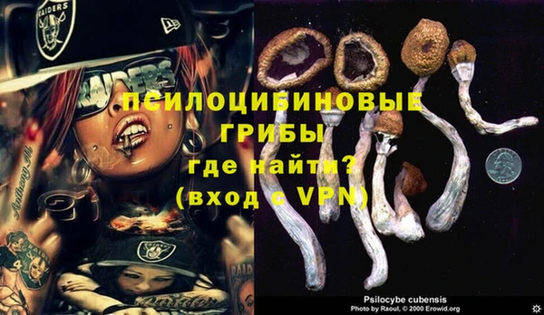 MESCALINE Богданович