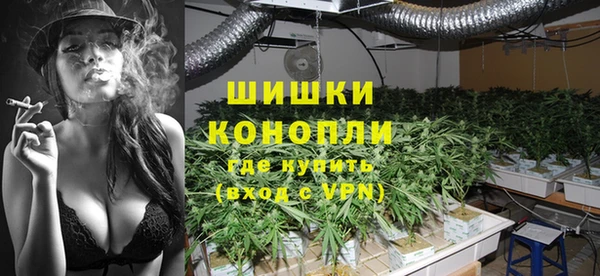 дживик Богородицк