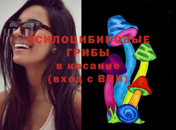 ПСИЛОЦИБИНОВЫЕ ГРИБЫ Богородск