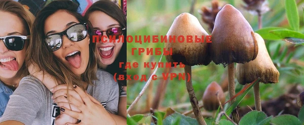 дживик Богородицк