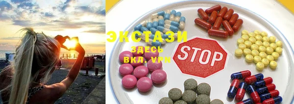 дживик Богородицк