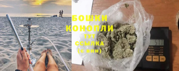 дживик Богородицк