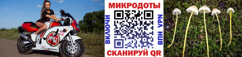 Купить закладки  Пугачёв  Псилоцибиновые грибы Magic Shrooms 